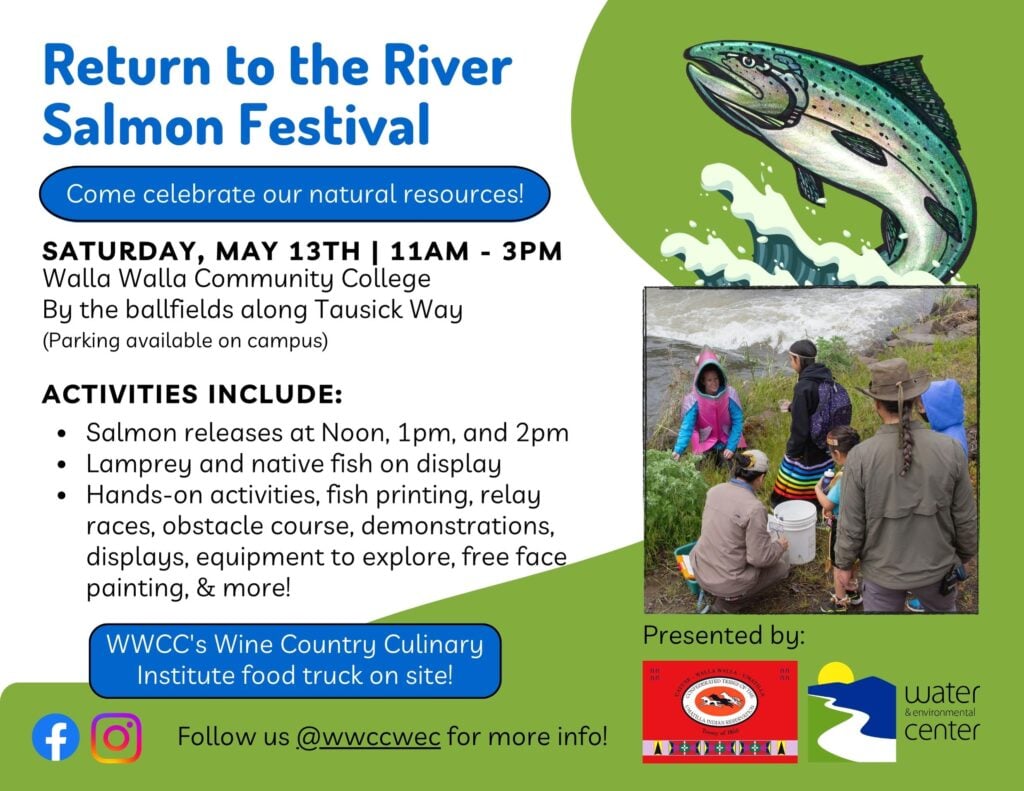 Return to the river salmon festival flyer